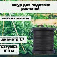 ���� ��� �������� ��������, ����� �������, ������ 1.7 �� �������� 170 �� ������� 100 ������/Narwhal ��� ��������� �����, ������ �� ������ ���� � �������� �������� �������.��