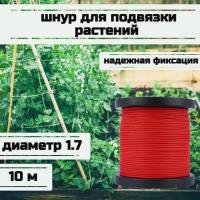 ���� ��� �������� ��������, ����� �������, ������� 1.7 �� �������� 170 �� ����� 10 ������/Narwhal ��� ��������� �����, ������ �� ������ ���� � �������� �������� �������.��