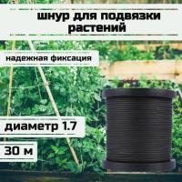 ���� ��� �������� ��������, ����� �������, ������ 1.7 �� �������� 170 �� ����� 30 ������/Narwhal ��� ��������� �����, ������ �� ������ ���� � �������� �������� �������.��