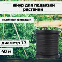 ���� ��� �������� ��������, ����� �������, ������ 1.7 �� �������� 170 �� ����� 40 ������/Narwhal ��� ��������� �����, ������ �� ������ ���� � �������� �������� �������.��