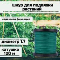 ���� ��� �������� ��������, ����� �������, ������� 1.7 �� �������� 170 �� ������� 100 ������/Narwhal ��� ��������� �����, ������ �� ������ ���� � �������� �������� �������.��