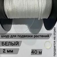 �������� ��������, ���� �����, ����� 40 ������ ��� ��������� �����, ������ �� ������ ���� � �������� �������� �������.��