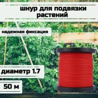 ���� ��� �������� ��������, ����� �������, ������� 1.7 �� �������� 170 �� ����� 50 ������/Narwhal ��� ��������� �����, ������ �� ������ ���� � �������� �������� �������.��