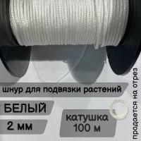 �������� ��������, ���� �����, ������� 100 ������ ��� ��������� �����, ������ �� ������ ���� � �������� �������� �������.��