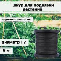 ���� ��� �������� ��������, ����� �������, ������ 1.7 �� �������� 170 �� ����� 5 ������/Narwhal ��� ��������� �����, ������ �� ������ ���� � �������� �������� �������.��