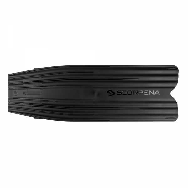    Scorpena Q,    ,     .