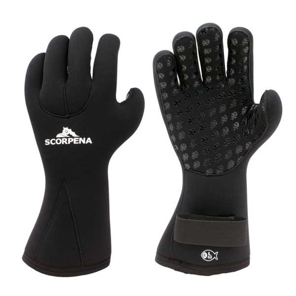  Scorpena C - 6     ,     .