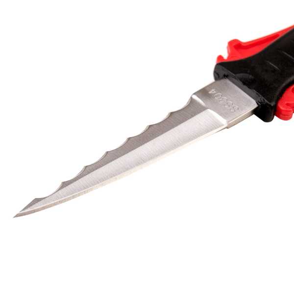  Scorpena A2   ,     .