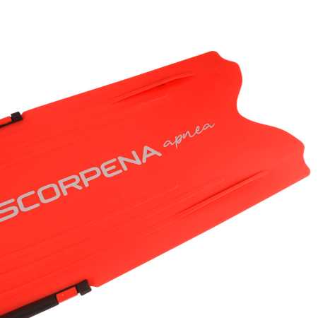  Scorpena F1 - Apnea Elite   ,     .