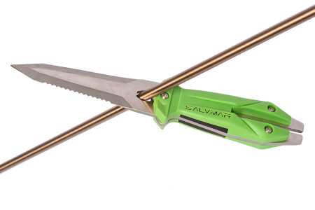 ��� GOEMON ������� ��� ��������� �����, ������ � ��������� �������� �������.��