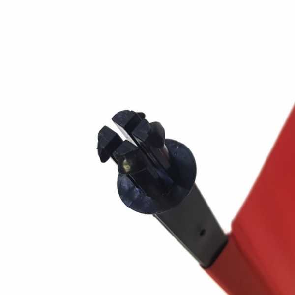   Scorpena   B   ,        .