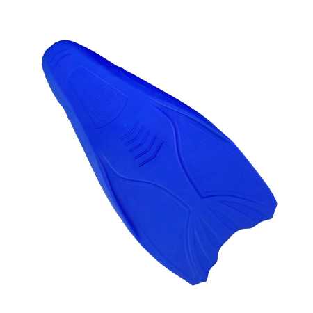  Scorpena Swimming   ,     .