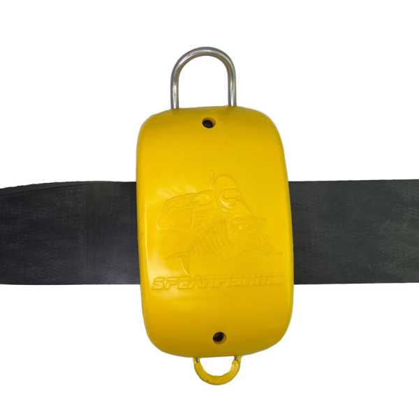 /  1.1 , ??  , Ƹ   ,     .