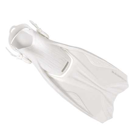  Scorpena Miami   ,     .