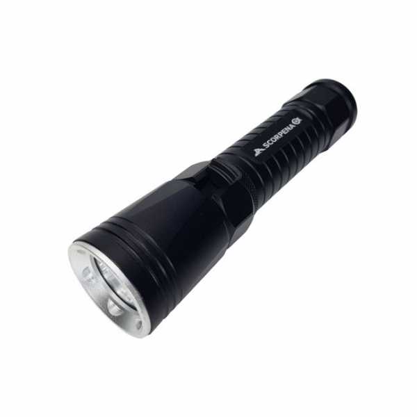  Scorpena D   ,     .