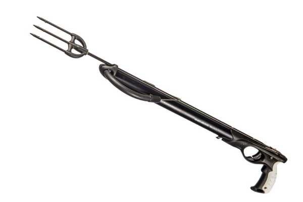  Sargan  50   ,     .