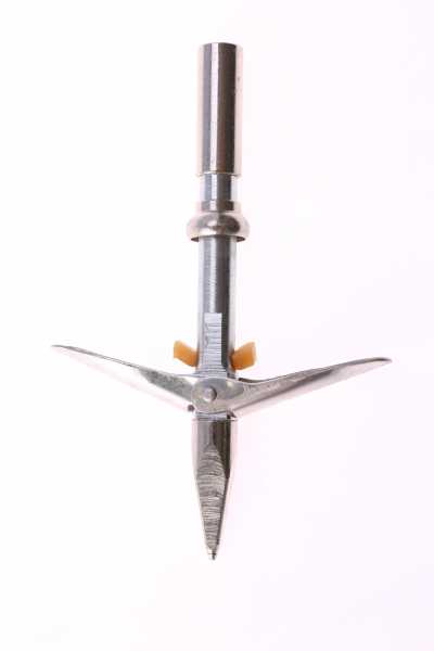  .         ,        .