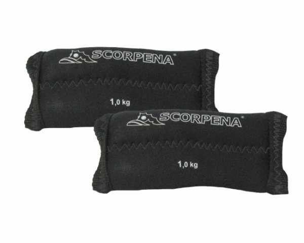    Scorpena 2 . 1    ,     .