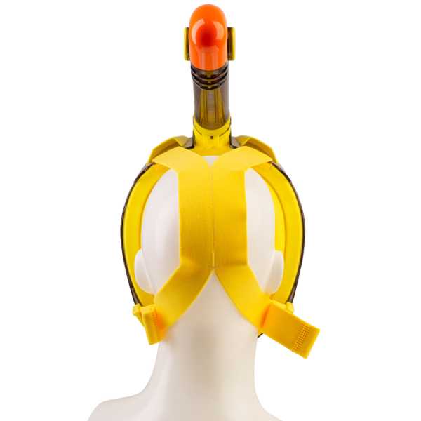     Scorpena Swim , . M   ,     .