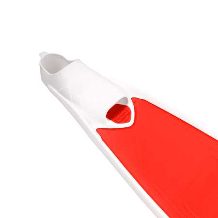   Scorpena F1 - Apnea Elite   ,     .