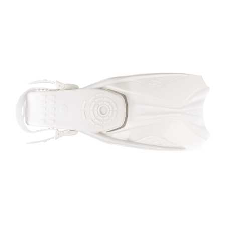  Scorpena Miami   ,     .