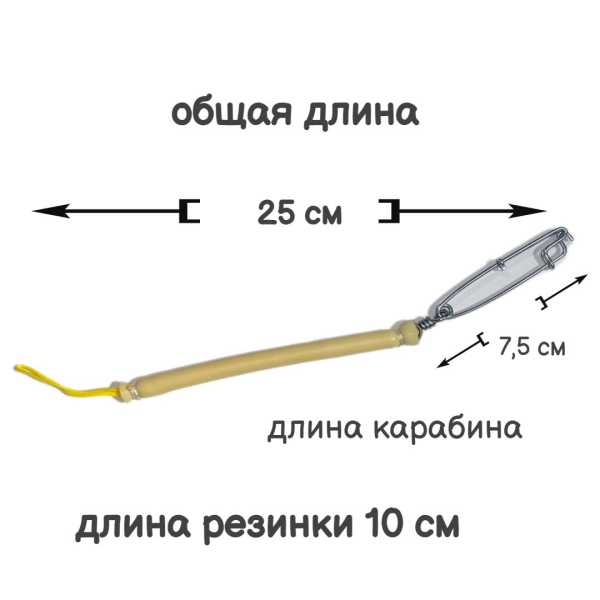 ����������� ���� ��� ���������� ����� ��� �������� ��� ��������� �����, � ��������� � ���������, ����� 10 ��, ������. Narwhal ��� ��������� �����, ������ �� ������ ���� � �������� �������� �������.��