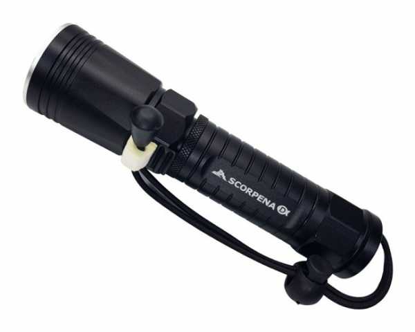  Scorpena D   ,     .