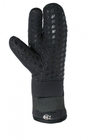   SCORPENA D - 8    ,     .