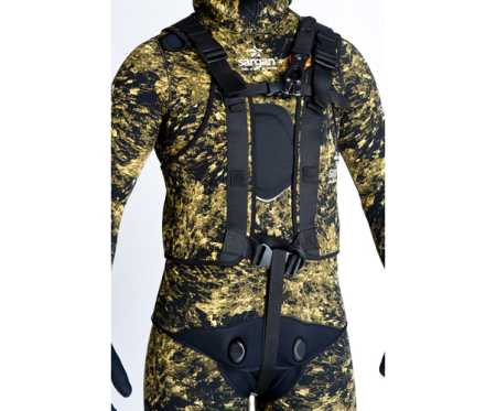   Sargan  RD2.0   ,     .