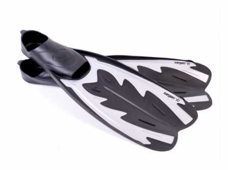 ����� ������ ��� ��� ���������� � �������� ������ ��� ��������� �����, ������ � ��������� �������� �������.��