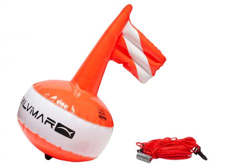  SALVIMAR      ,        .