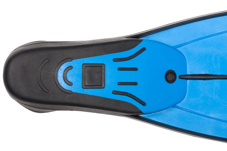  FLUYD Training Long    ,     .