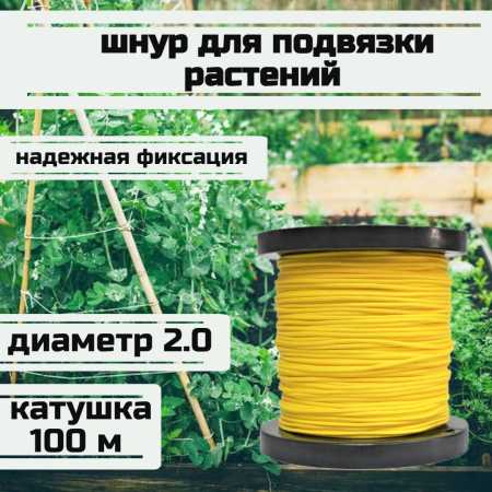    ,  ,  2.0   200   100 /Narwhal