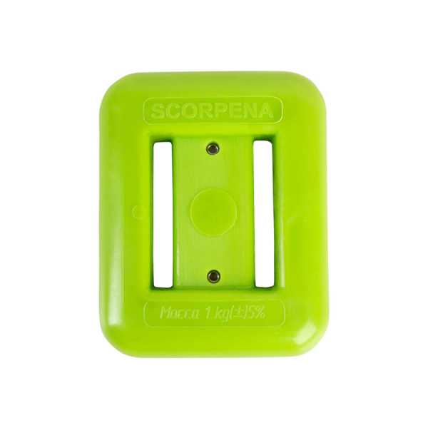   Scorpena 1  -   ,     .