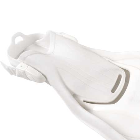  Scorpena Miami   ,     .