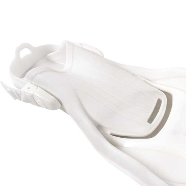  Scorpena Miami   ,     .