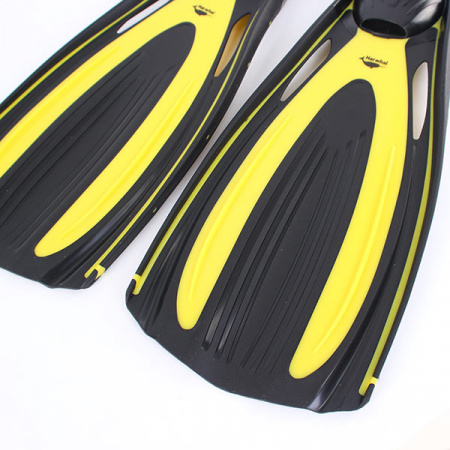 ����� Narwhal Wave ������ ��� ��������� �����, ������ � ��������� �������� �������.��