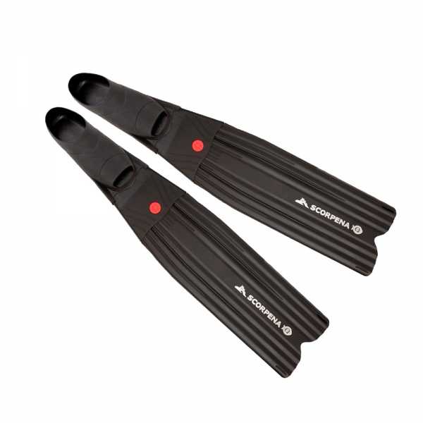  Scorpena Q    ,        .