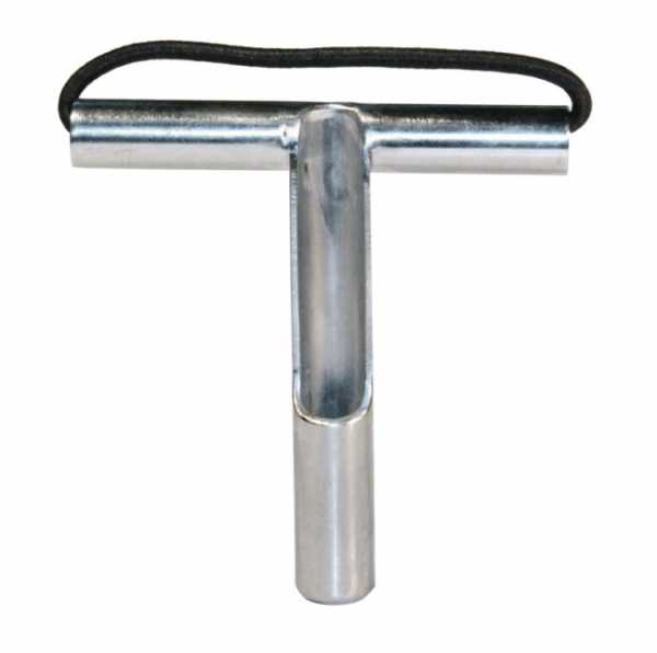      Scorpena   ,        .