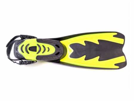  Sargan       ,     .