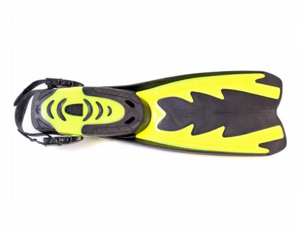  Sargan       ,        .