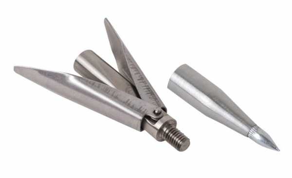      (),  . Scorpena   ,        .