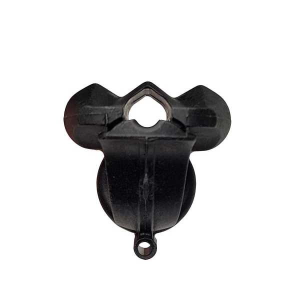      Scorpena   ,        .