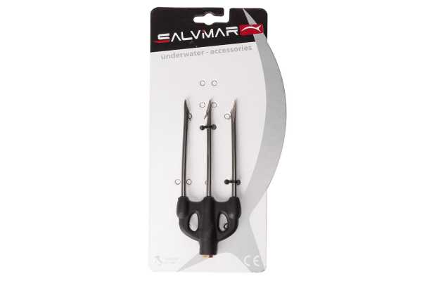 ���������� ��������� ��������� �� ����������� ����� ��� ��������� �����, ������ �� ������ ���� � �������� �������� �������.��