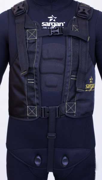  Sargan  ()   ,     .