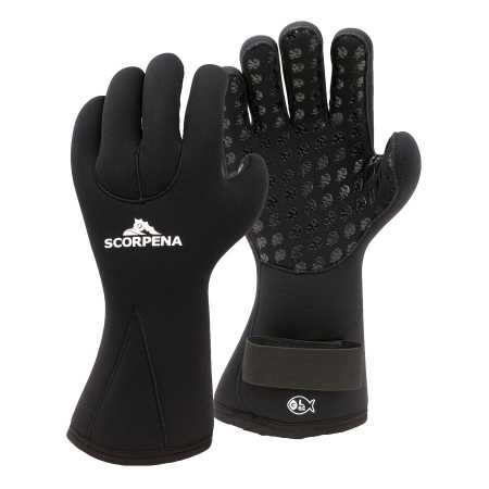  Scorpena C - 6     ,     .