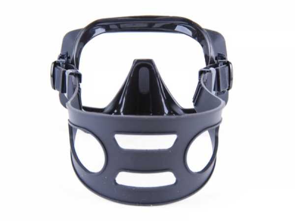  C FBR      ,        .