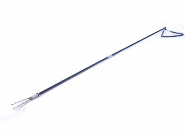  C C, 200   .   ,        .