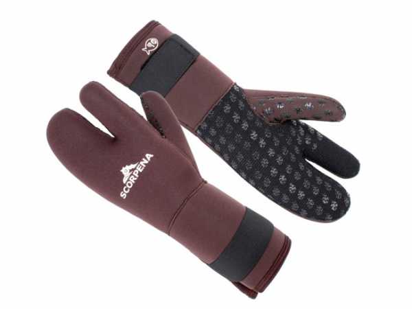   SCORPENA D 8 ,    ,        .