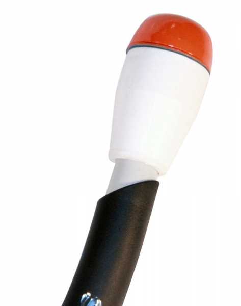      Scorpena    ,        .